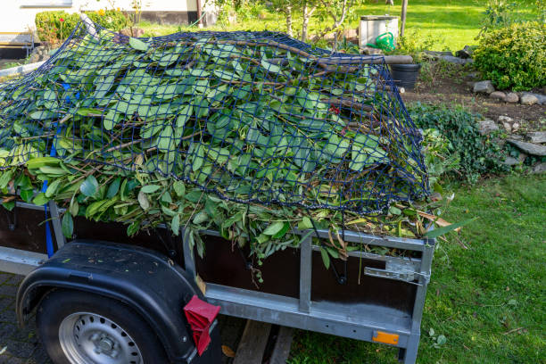 Best Carpet Removal and Disposal  in Richland, MO